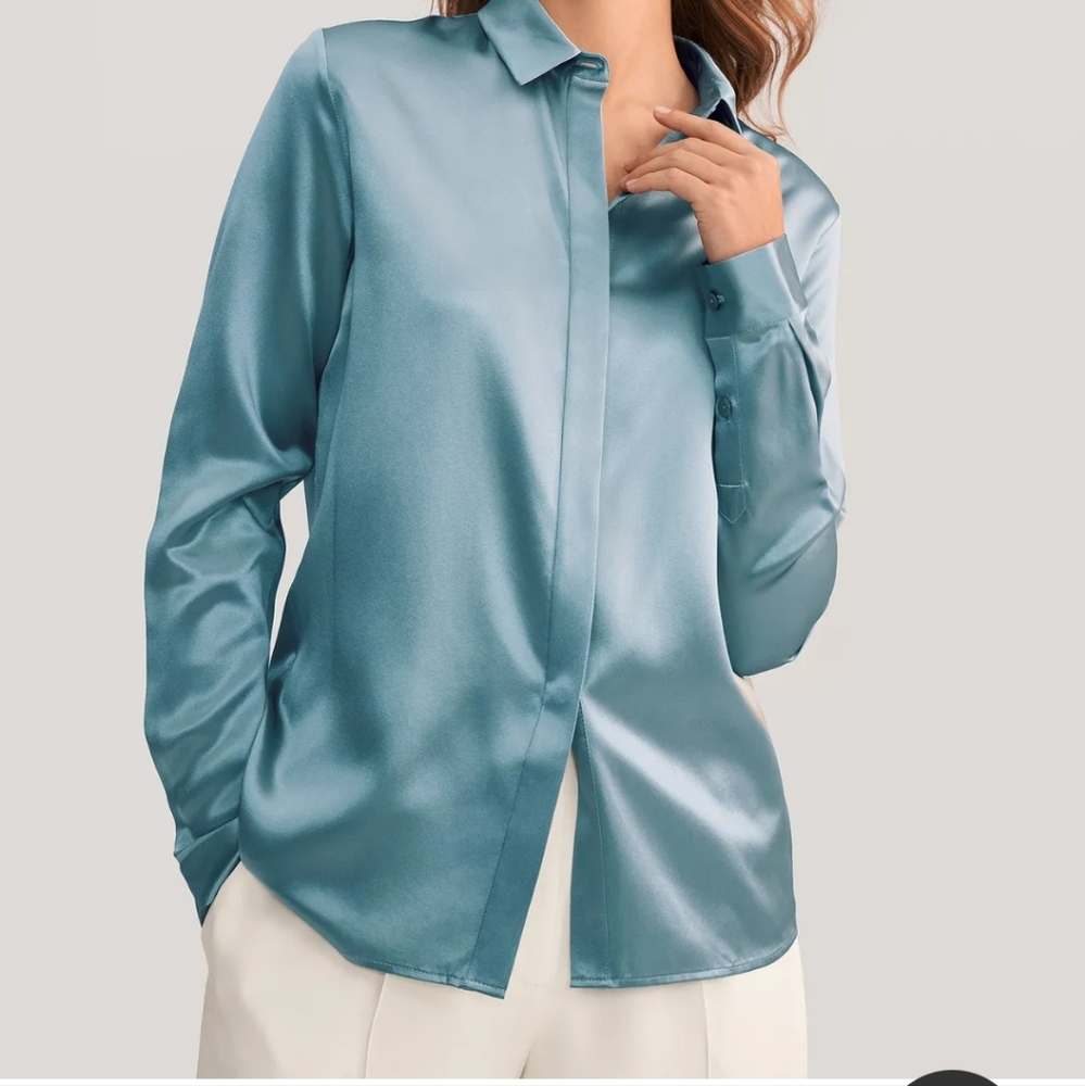 NWT Silk blouse